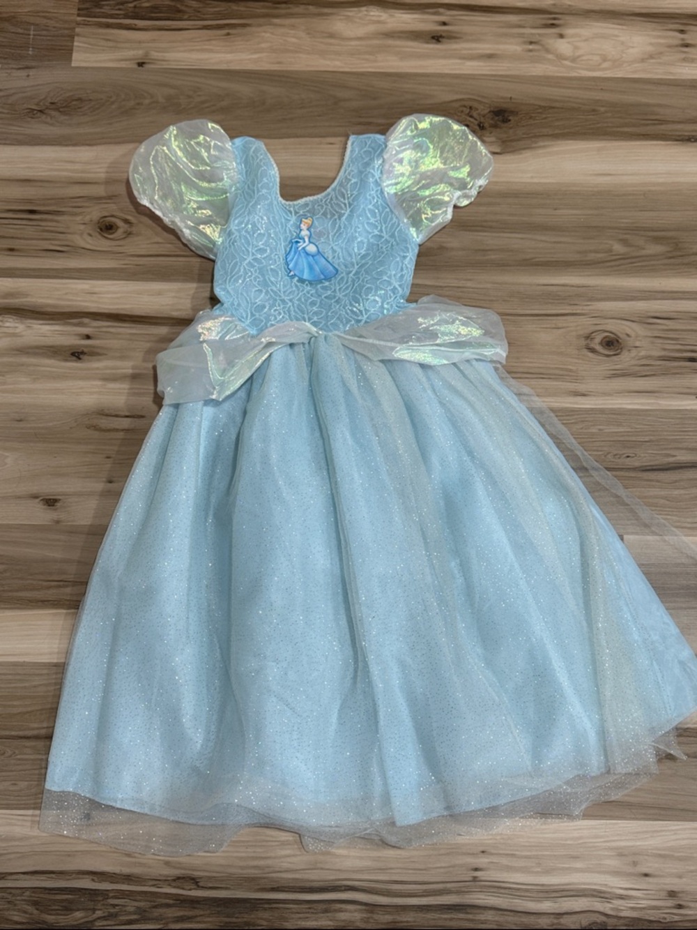 Cinderella The Disney Store Princess Dress